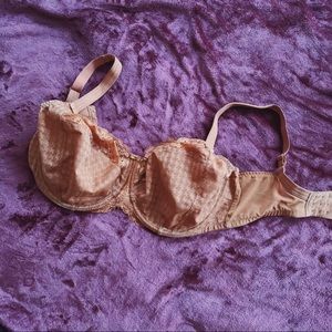 Panache | NWOT Envy bra in cinnamon